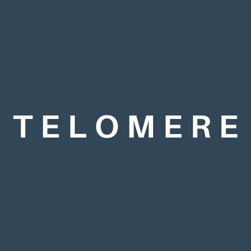 Telomere Consulting Logo